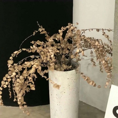 巴林左旗FurryQQ群介绍